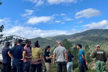 Growing Trees and Building Connections in Fafião